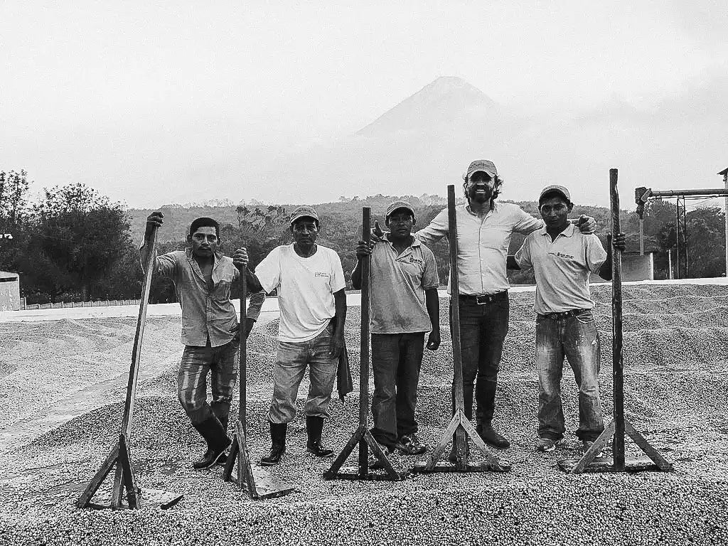 Group of workers with rakes.
